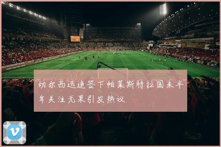 切尔西迅速签下帕莱斯特拉国米半年关注无果引发热议